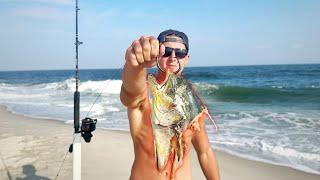 Dropping BIG Baits for BIG Surf Bites!!!