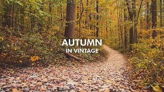 One Week of Relaxing Autumn Landscape Photography | Vintage Lenses