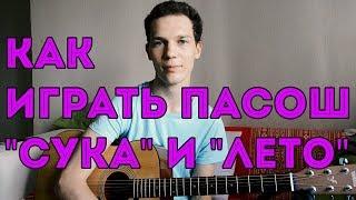 КАК ИГРАТЬ ПАСОШ - СУКА / КАК ИГРАТЬ ПАСОШ - ЛЕТО