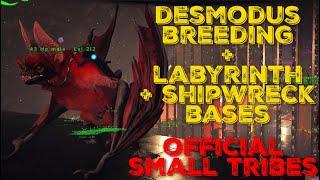 Desmodus Mutation Breeding + Base Tours | Fjordur | Official Small Tribes PvP | OTH | Ark Survival