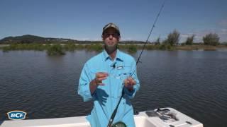 BCF – Flathead on Baits