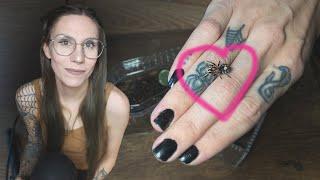 CUTEST MINIATURE TARANTULA tries new MINI COFFIN enclosure  C elegans