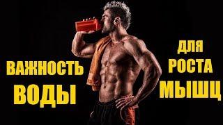 Важность ВОДЫ для РОСТА МЫШЦ. 10 Факторов