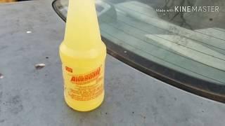 How To Clean Mold and Tree Sap off A Car, The Fast Easy Way