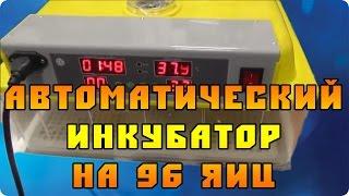 Автоматический инкубатор на 96 куриных яиц (Китай)