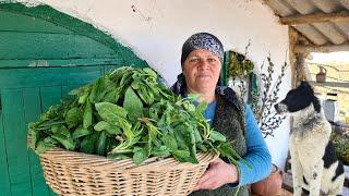 Traditional Turkish Borek With Cheese and Spinach