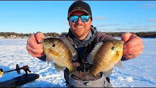 HUGE Bluegill Through the Ice in February!!!...Catch Clean & Cook