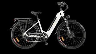 TESWAY WALKER Electric Bike 250W Bafang Motor 48V 12AH Battery 27.5 Inch 2.4 Fat Tire Electric Bike