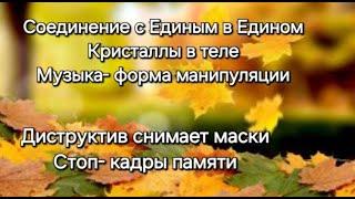 Работники Света и выбор. Октябрь. Расправляют крылья. Страхи на ускорение. / Die Zeit ist gekommen.