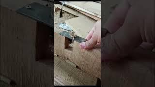 rounding bamboo nails #shorts #fyp #virals #tricks #skills #bamboo