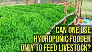 Can One Use Hydroponic Fodder Only to Feed Livestock?