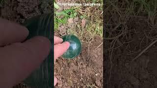 Отпугиватель грызунов