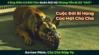 [Rerview Phim] Dù Đã Cống Hiến Tận Lực Cho Quân Đội Nhưng Chú Chó Này Vẫn Bị Xử "Chít"