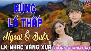 MV RỪNG LÁ THẤP  LK Nhạc Vàng Xưa CÔNG TUẤN Toàn Bài Hay Nghe Cực Êm Tai️KHÔNG QUẢNG CÁO