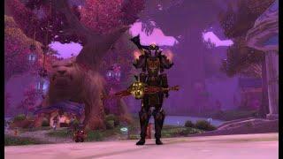 70 Hunter - WoW TBC Classic PvP