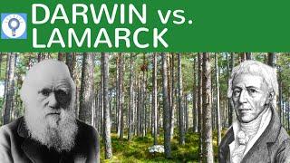 Darwin vs. Lamarck - Evolutionstheorie von Lamarck und Darwin im Vergleich | Evolution 8