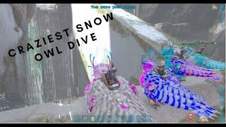 Ark Small Tribes Owl Diving The Fattest Personal Rooms-MD