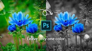 How to leave only one color and make it black and white in Photoshop 2019