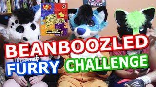 BeanBoozled - Furry Edition Challenge! (Ft. Treble and Zerppy)