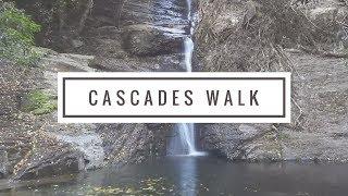 Cascades Walk, Macquarie Pass National Park, Illawarra NSW Australia | Bushwalk the 'Gong