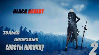 Гайд для новичка. Пристанища, бафы, реликвии. Советы новичку. Black Desert