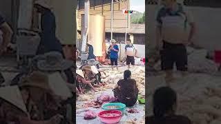 Nghệ An: Sự cố hy hữu gây thiệt hại gần 1 tỷ đồng