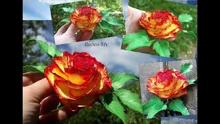 Ранункулюс из иранского фоамирана Ranunculus from the Iranian foamiran