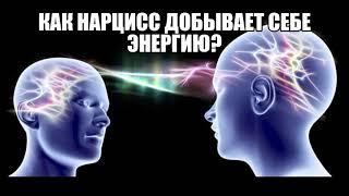 Как нарцисс/манипулятор добывает себе энергию? В.Зеланд