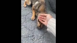 sevgi iyileştirir ️