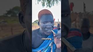 Ancient Teeth Cleaning Secret Revealed‼️