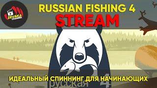 ИДЕАЛЬНЫЙ СПИННИНГ ДЛЯ НАЧИНАЮЩИХ - РУССКАЯ РЫБАЛКА 4