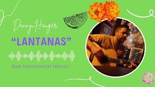 Danny Hauger - Lantanas (Instrumental Guitar) #instrumental #mellow #relaxingmusic