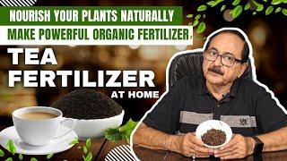 चाय के पत्ते से पौधों को पोषित करें I Supercharge Your Garden with Homemade Tea Leaf Fertilizer