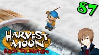 Harvest Moon Back to Nature - 87 - Snowstorms Coming In