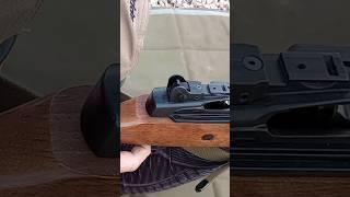 Part 7 Sights- Mini 14