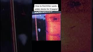 Find Crappie Hotspots Under Docks 