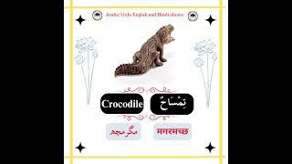 (10)Names of marine animals/أسماء  الحيوانات البحرية#ArabicEnglishUrduHindiIdioms #shorts #foryou