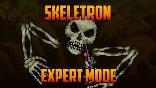 Terraria - Skeletron Expert Mode Yoyo Guide