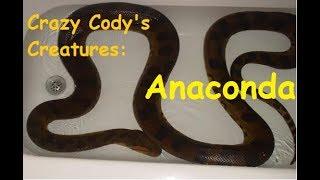 Crazy Cody 's Creatures: Anaconda