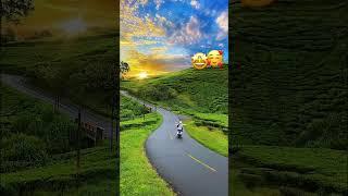 Travel #youtubeshorts  Alan walker where are you now song