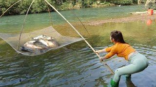 Smart Girl's Unique Fishing | Harvesting Many Fish with Traditional Fishing Net