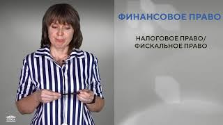 Вводная лекция. Преподаватель: Разгильдиева М.Б.