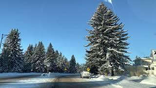 4K DRIVING WINTERTIME, SNOW ON TREES, POSTCARD VIEW, NATURE  87 AVENUE, EDMONTON ALBERTA CANADA