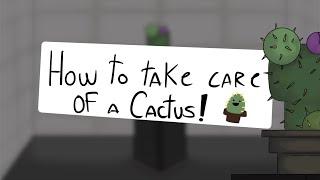 How To Take Care Of A Cactus? [Melon Playground Lore] [ORIGINAL! ] HoovyTM