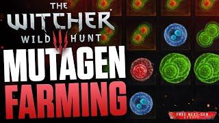 You NEED THIS - The Witcher 3 Farming Mutagens Tipps - Red, Green & Blue Greater Mutagen