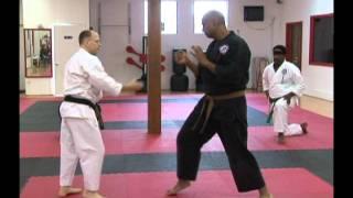 Troy J. Price Martial Arts Action Clips #2 Shurite Bujutsu-Kai Workshop Series June-2011 .mp4