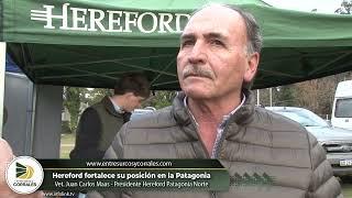 Médico Veterinario Juan Carlos Maas - Presidente Hereford Patagonia Norte