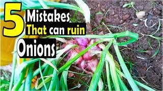 5 common mistakes to avoid when growing onions