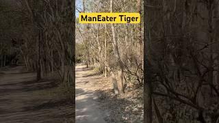 Tiger Maneater - Jim Corbett National Park #tiger #jungle #wildlife #nature