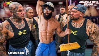 Anatoly Takes on the Worlds Strongest Man in a Gym Prank Battle  | Anatoly GYM Prank